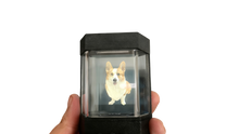 Load image into Gallery viewer, ForeverMiss 3D Holographic Memorial Keepsake | Custom Pet/Human Hologram Gift （Let longing leave its mark, let love never end.）